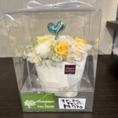 ポンポンキャンディー　プリザーブドフラワー